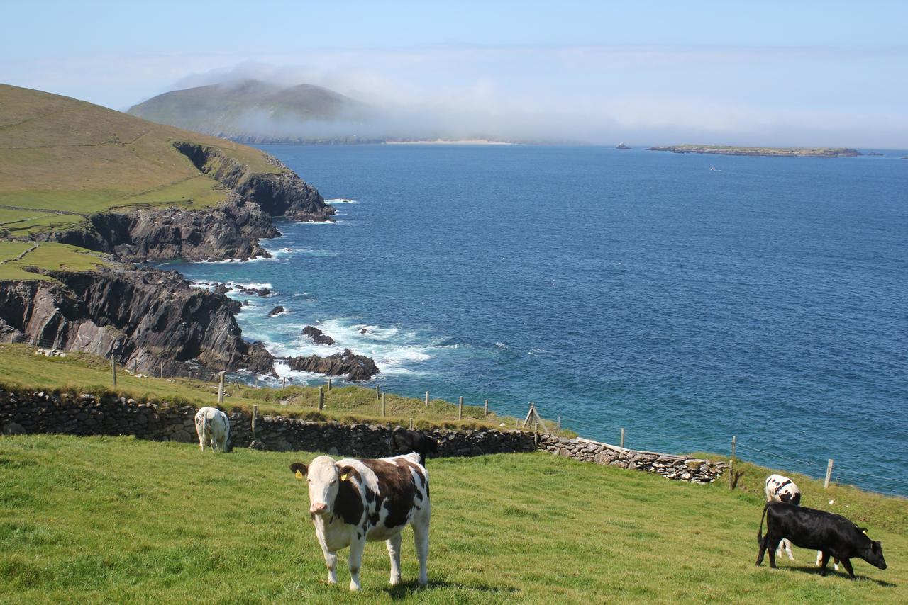 Dingle Courtyard Cottages 4 Bed By Trident Holiday Homes Eksteriør bilde